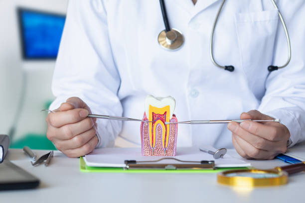 Best Weekend Emergency Dental Services in Red Lick, TX